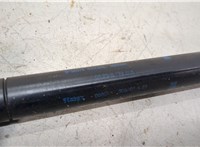  Амортизатор крышки багажника BMW 5 E39 1995-2003 20495611 #2