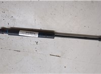 51248222913, 8222913 Амортизатор крышки багажника BMW 5 E39 1995-2003 20495611 #3