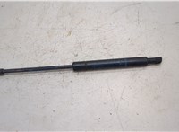  Амортизатор крышки багажника BMW 5 E39 1995-2003 20495612 #1