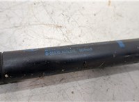  Амортизатор крышки багажника BMW 5 E39 1995-2003 20495612 #2