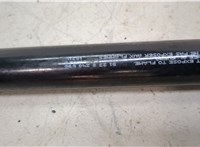 51238240596, 8240596 Амортизатор капота BMW 7 E65 2001-2008 20495618 #2