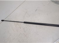51238240596, 8240596 Амортизатор капота BMW 7 E65 2001-2008 20495619 #1