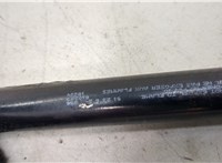 51238240596, 8240596 Амортизатор капота BMW 7 E65 2001-2008 20495619 #2