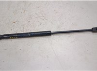 7259763 Амортизатор крышки багажника BMW 3 F30 2012-2019 20495704 #1