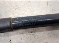  Амортизатор капота BMW 5 F10 2010-2017 20495713 #2