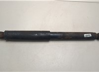  Амортизатор подвески Dodge Ram 2008-2019 20495735 #1