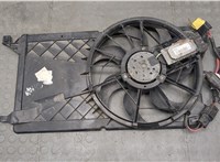  Вентилятор радиатора Ford C-Max 2002-2010 20495792 #1