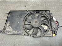  Вентилятор радиатора Ford C-Max 2002-2010 20495792 #3