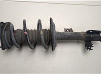 4852080703, 4813148890 Амортизатор подвески Toyota Venza 2020- 20495849 #1