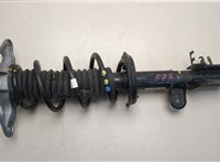  Амортизатор подвески Dodge Hornet 2022-2025 20495903 #1