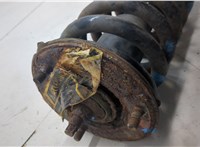 56110ZC085, 540107S102 Амортизатор подвески Infiniti QX56 2004-2010 20495937 #6