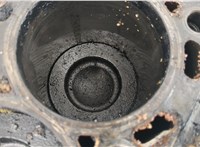  Блок цилиндров (Шорт блок) Volkswagen Passat 6 2005-2010 20496048 #9