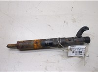 166001137R, 7711497343 Форсунка топливная Renault Scenic 2003-2009 20496083 #1