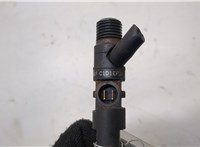 166001137R, 7711497343 Форсунка топливная Renault Scenic 2003-2009 20496085 #4
