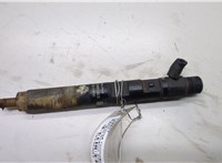 166001137R, 7711497343 Форсунка топливная Renault Scenic 2003-2009 20496089 #1
