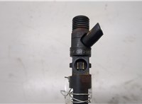 166001137R, 7711497343 Форсунка топливная Renault Scenic 2003-2009 20496089 #4