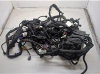  Электропроводка Dodge Hornet 2022-2025 20496247 #2