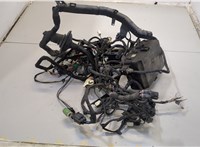  Электропроводка Dodge Charger 2014-2025 20496405 #1