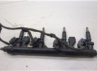  Форсунка топливная Peugeot 207 20497295 #1