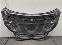  Капот Ford Focus 2 2008-2011 20497363 #4