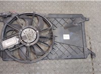  Вентилятор радиатора Ford C-Max 2002-2010 20497512 #1