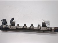  Рампа (рейка) топливная Volkswagen Passat 7 2010-2015 Европа 20497870 #1