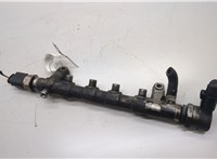  Рампа (рейка) топливная Volkswagen Passat 7 2010-2015 Европа 20497870 #5