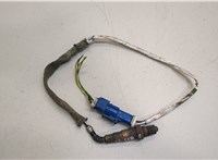  Лямбда зонд Ford Focus 3 2011-2015 20498489 #1