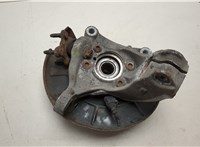 1K0407621F, 3C0407254F Ступица (кулак, цапфа) Volkswagen Passat 7 2010-2015 Европа 20498578 #2