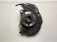  Ступица (кулак, цапфа) Volkswagen Passat 6 2005-2010 20498579 #1