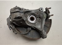  Ступица (кулак, цапфа) Volkswagen Passat 6 2005-2010 20498579 #4