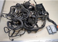 237513EV0A Электропроводка Infiniti QX70 20498830 #1