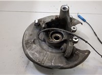 33416765566, 6765566, 33326763120, 6763120 Ступица (кулак, цапфа) BMW 7 E65 2001-2008 20498974 #1