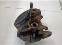  Ступица (кулак, цапфа) BMW X5 E53 2000-2006 20499179 #1
