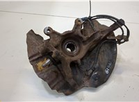  Ступица (кулак, цапфа) BMW X5 E53 2000-2006 20499185 #1