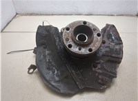 31206756256, 31216761575, 34116756901 Ступица (кулак, цапфа) BMW X5 E53 2000-2006 20499185 #5