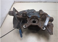 31206756256, 31216761575, 34116756901 Ступица (кулак, цапфа) BMW X5 E53 2000-2006 20499185 #8