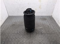 A1663200325 Пневмоподушка Mercedes GL X164 2006-2012 20499213 #14
