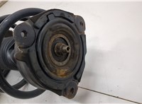 E43031AA0B, 540101AA0B Амортизатор подвески Nissan Murano 2008-2015 20499517 #2