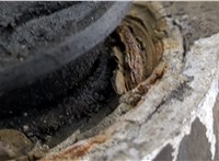 352081, 13225798 Рычаг подвески Opel Vectra C 2002-2008 20499535 #5