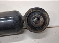 E62101AA0B Амортизатор подвески Nissan Murano 2008-2015 20499543 #2