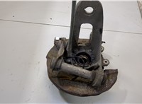  Ступица (кулак, цапфа) BMW X5 E53 2000-2006 20499623 #1