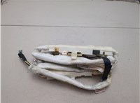  Подушка безопасности боковая (шторка) BMW 7 E65 2001-2008 20499669 #1