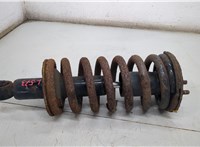  Амортизатор подвески Infiniti QX56 2004-2010 20499991 #1