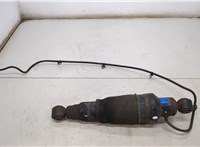 56200ZC01B Амортизатор подвески Infiniti QX56 2004-2010 20500049 #1