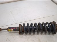 4851069195, 481316B500 Амортизатор подвески Lexus GX 2002-2009 20500079 #1