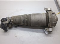 7L6616019A Амортизатор подвески Volkswagen Touareg 2002-2007 20500118 #10