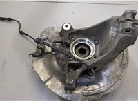  Ступица (кулак, цапфа) BMW X1 (F48) 2015-2022 20500331 #2