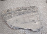  Защита арок (подкрылок) Renault Scenic 2009-2012 20500445 #2