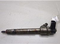 A6460700287 Форсунка топливная Mercedes Vito W639 2004-2013 20500454 #1
